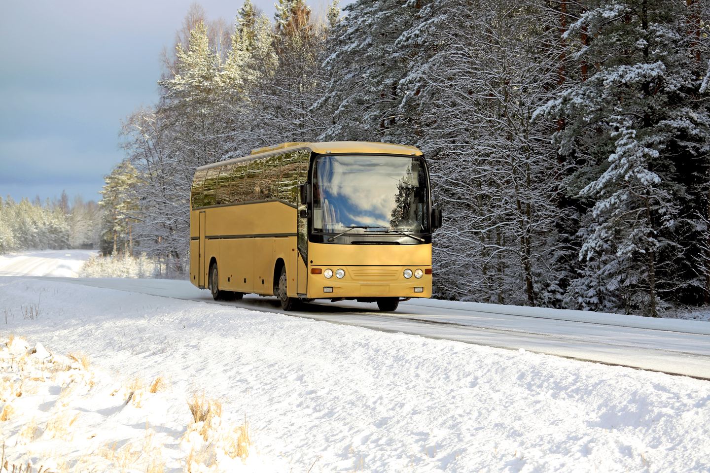 Autocar jaune sur une route enneigée bordée de sapins